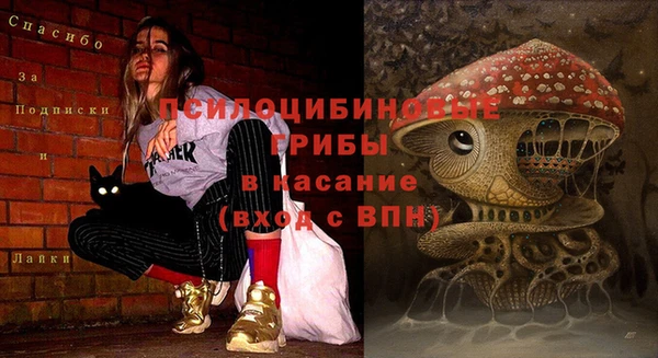 а пвп мука Белокуриха