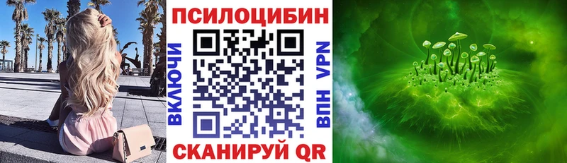 что такое   Яровое  Псилоцибиновые грибы Psilocybe 