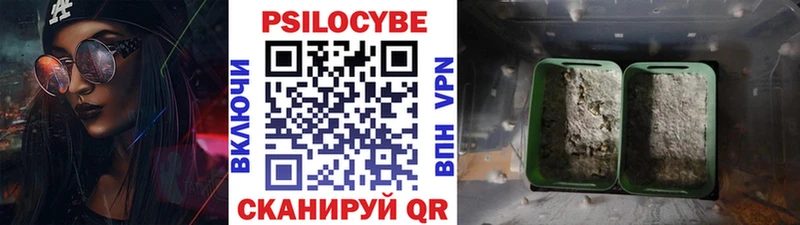 Галлюциногенные грибы мицелий Яровое